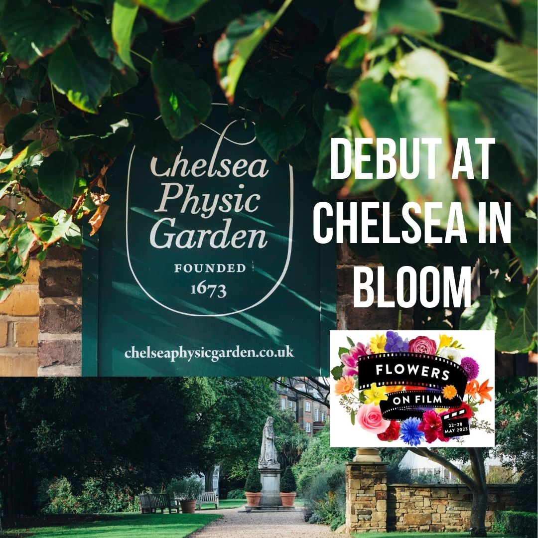 Historic Garden goes on film for Chelsea in Bloom